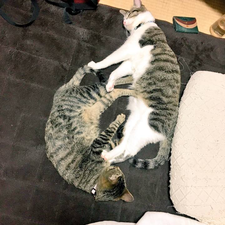 B1a0fdce cc2a 43b7 9181 0f70226269ac