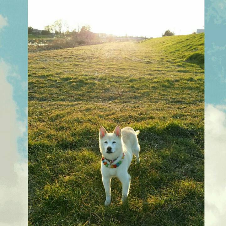 B1a18157 6d35 4665 a785 a0e436badcc5