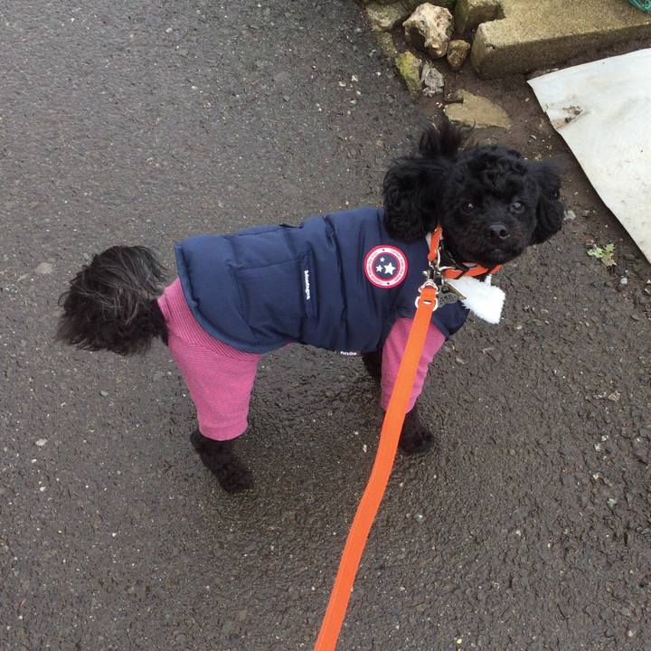 B1a1e874 1640 4f67 89bf 8a7f59322655