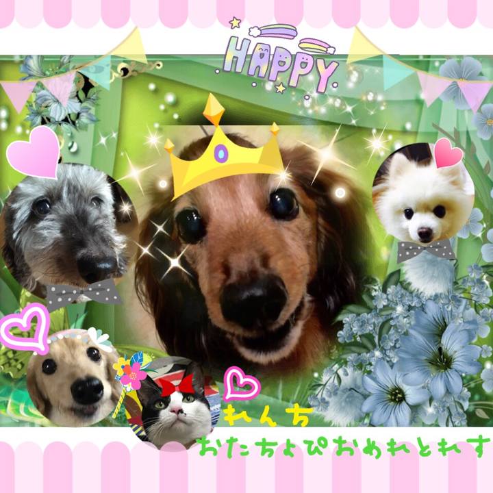 B1a2787f 6e94 4fce be29 e771905a7e16