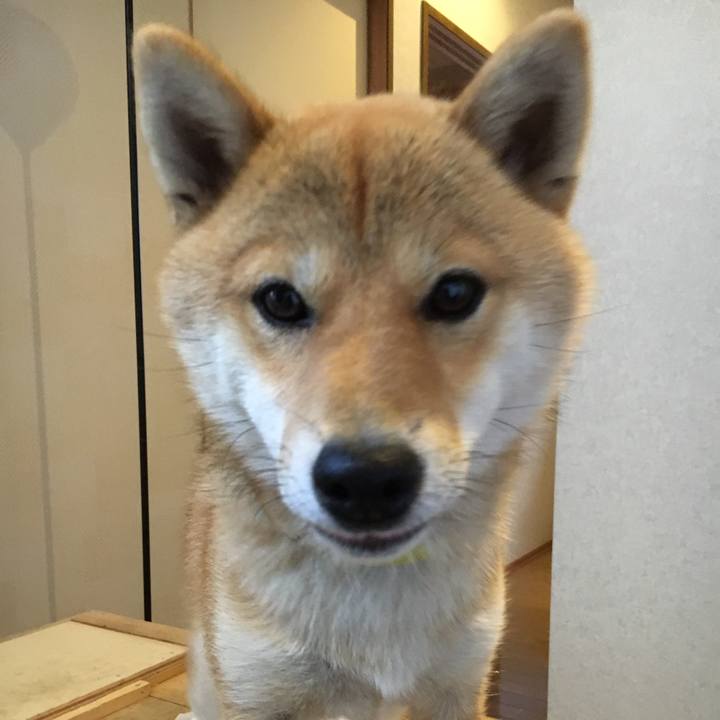 B1a29c13 446b 4de3 a82e c7602f8cdce2