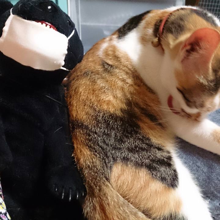 B1a35f71 74c6 487a 922f 5fdf751047aa