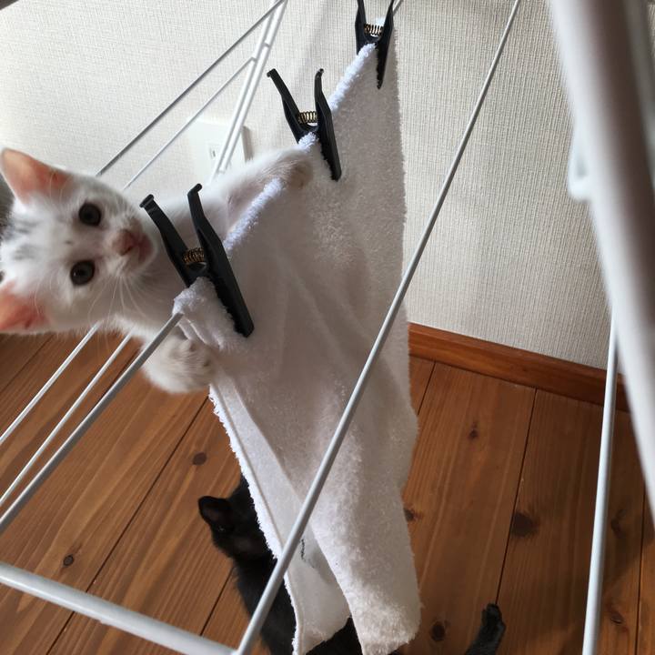 B1a366b0 6463 4859 b503 37299778ad01