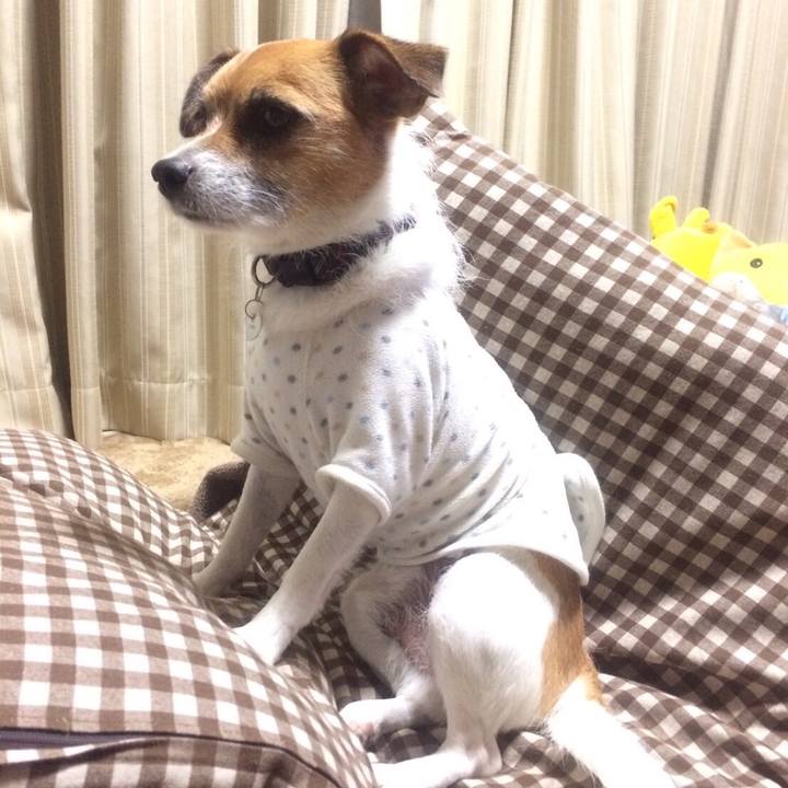 B1a40cea 2cf4 47d4 b007 90d3d9a89785