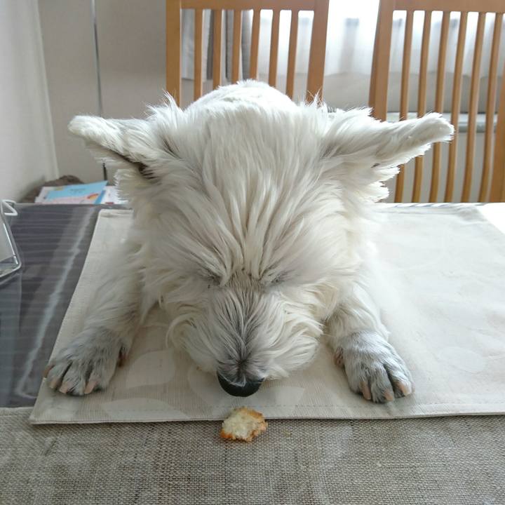 B1a5a386 1c5c 40ce b3a7 f9295c2bb81c