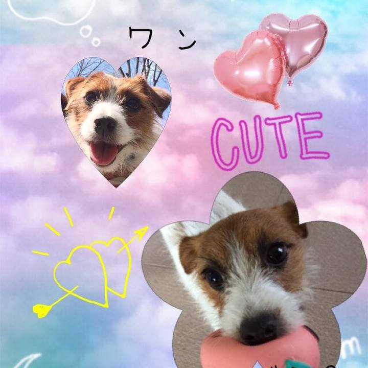 B1a5e1b1 decf 480c 9d0e b289f2ffaab1