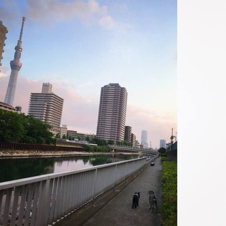 B1a5f685 43aa 4f55 a5a4 742916a8f1bd