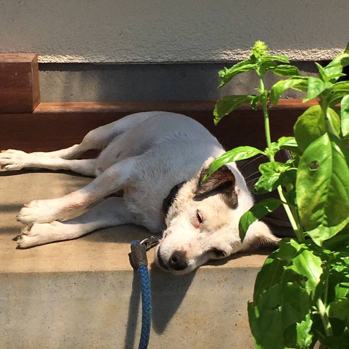 B1a60d22 b28e 4ba1 b7a0 dfdea718030a