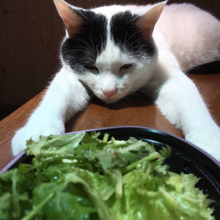 B1a64f58 b96d 4776 8a52 caa33f2f8d9a