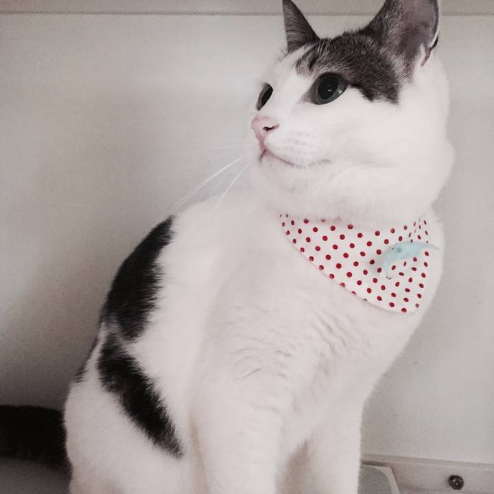 B1a671ba 8697 4d2b b3ea 83944b4c41ab