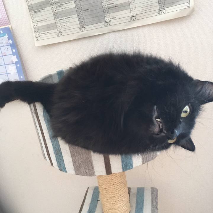 B1a6ac47 e8d4 4cfe 81e2 478cb6092afc