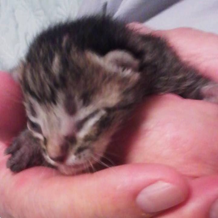 B1a6ffdf e2f4 4ced 99f4 336ab60a2ba6