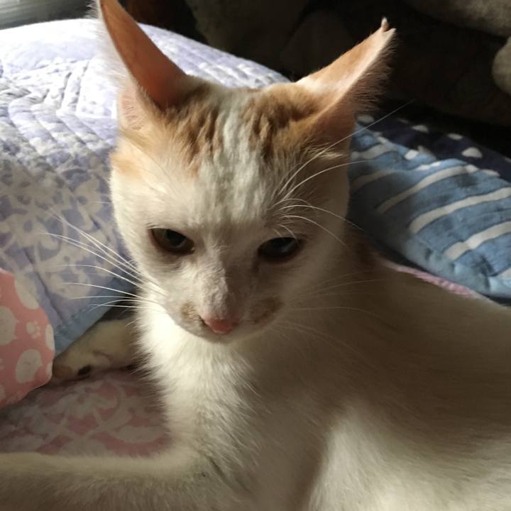 B1a79e32 28a3 4b4f b32a 8cd2dc5a2659