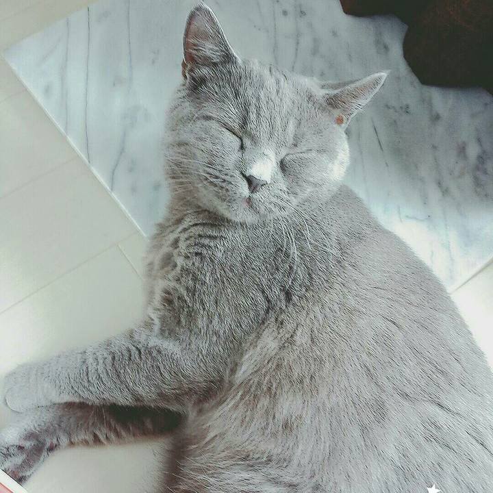 B1a7a5a5 ccc1 4027 9523 0faf5253401f