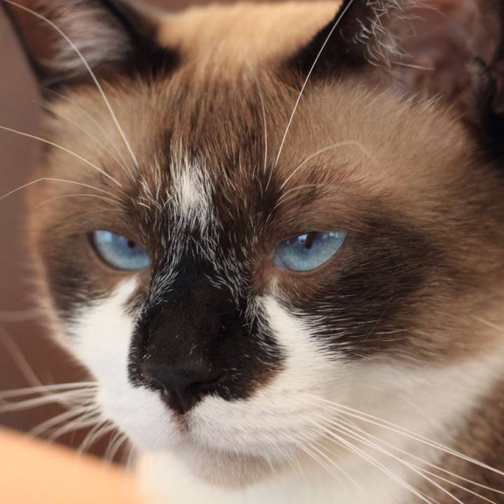 B1a7b2de 15e0 431e 8c71 04426a930806