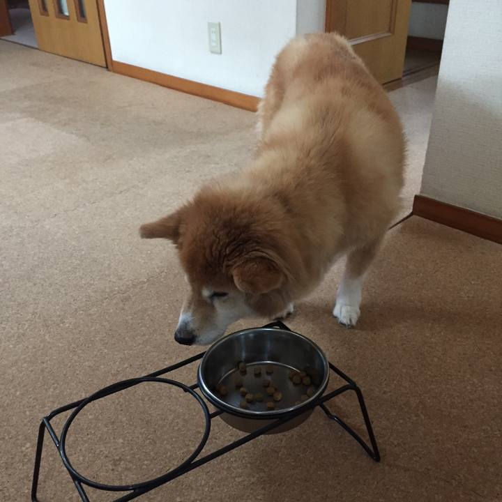 B1a7c007 52d3 4377 b89c b503bc032424