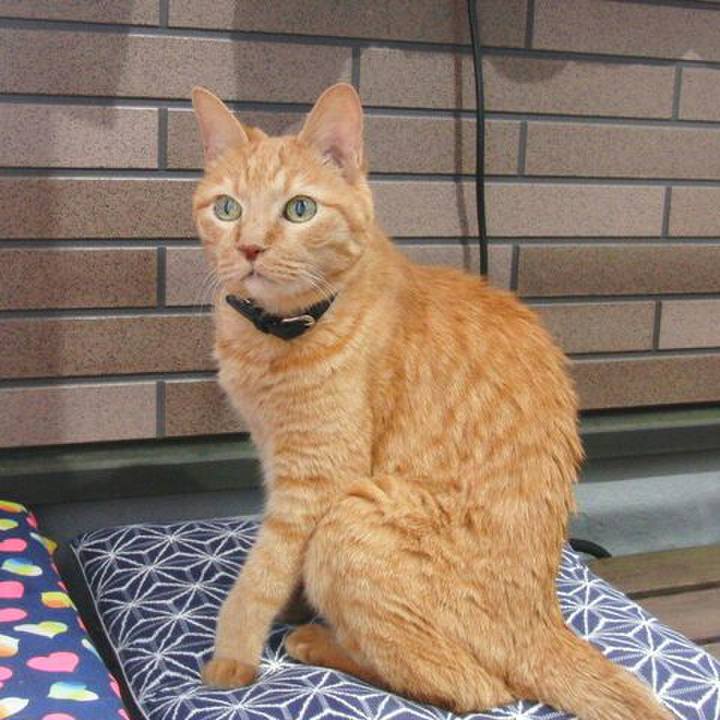 B1a7ca67 b84e 4d13 a3b9 f9e2047668e8