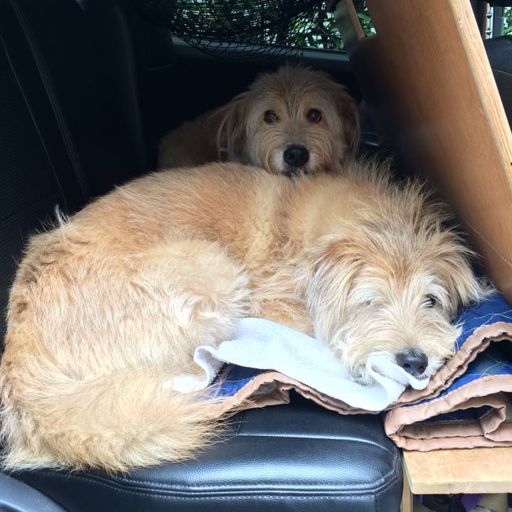 B1a8078a 2f06 4e2c b9c3 543a0439acfa