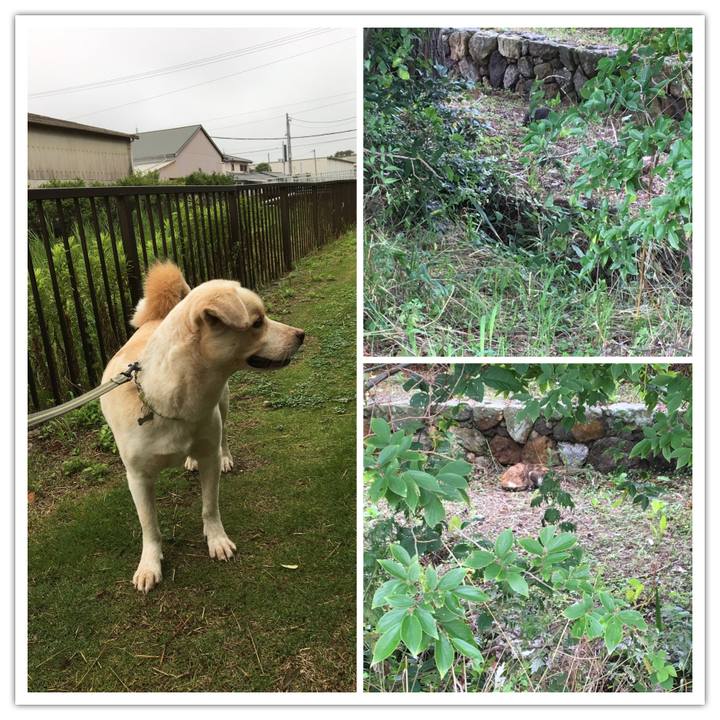 B1a8aaa6 82a7 4439 ac2b 737f4bc4585f