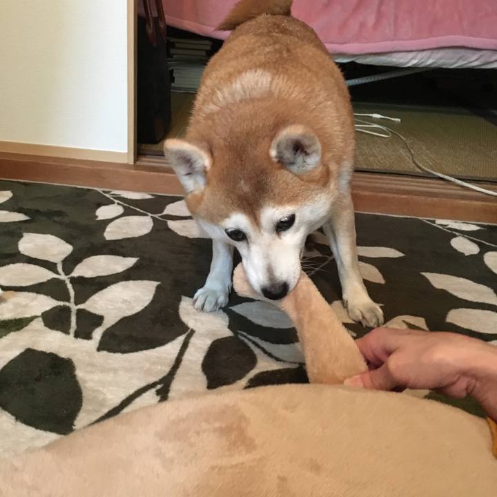 B1a8afe7 ef9d 4977 9406 8266ee6ce76d