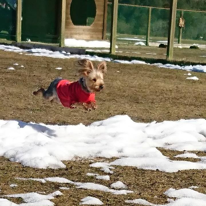 B1a93dc7 e2a6 4a27 a33c 371b344761ab