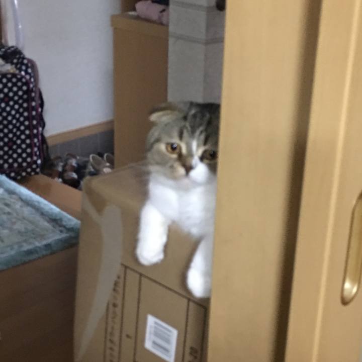 B1a9a129 5db3 42c9 9b9f d554d67a921c