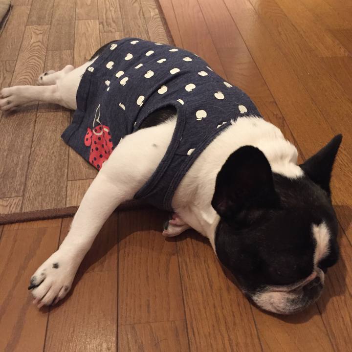 B1aa0822 4300 4424 a7d7 d249c33043d1