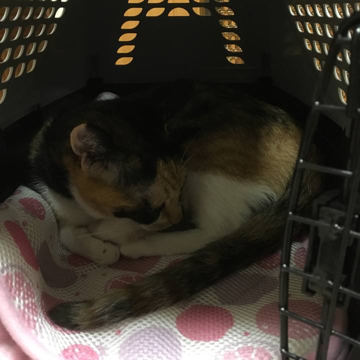 B1aafa61 4ee1 474d bfd4 be1496549436