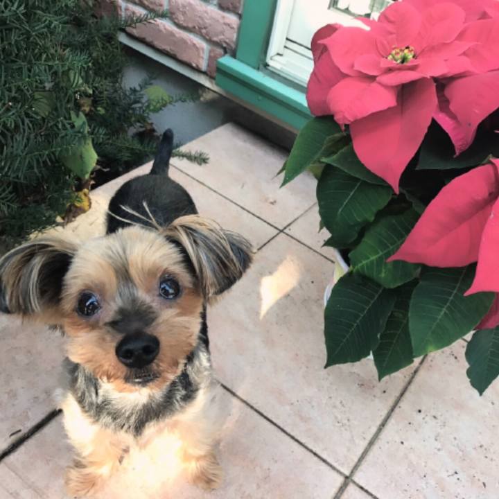 B1ab48a7 fe51 4123 a417 1d6e2e450398