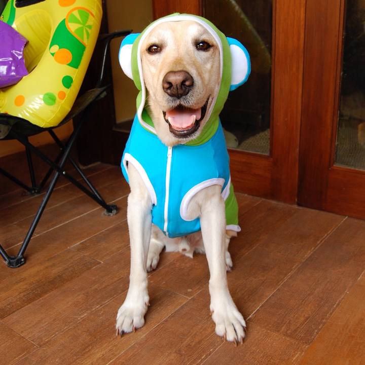 B1ab88ea 5c53 4e13 a8c3 796cb1617d82