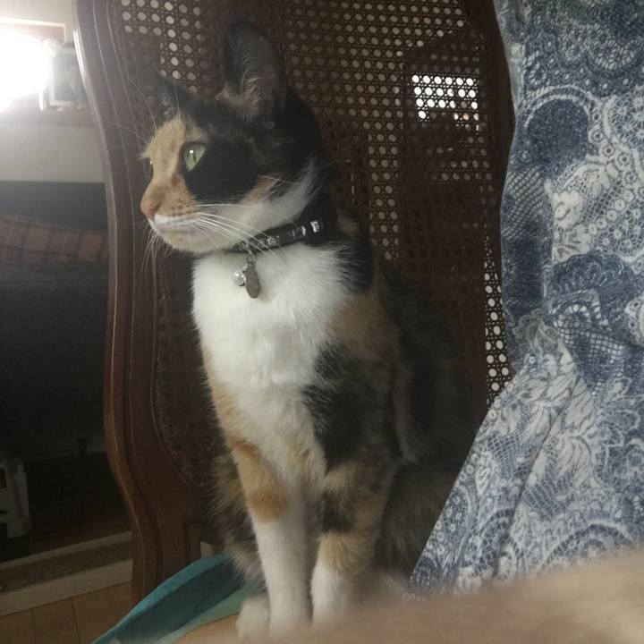 B1ababc2 1c7f 4f36 b630 ff829e894477