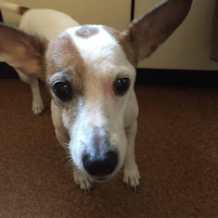 B1abbbef 1bba 4e6c a33c 0c0b3832049c