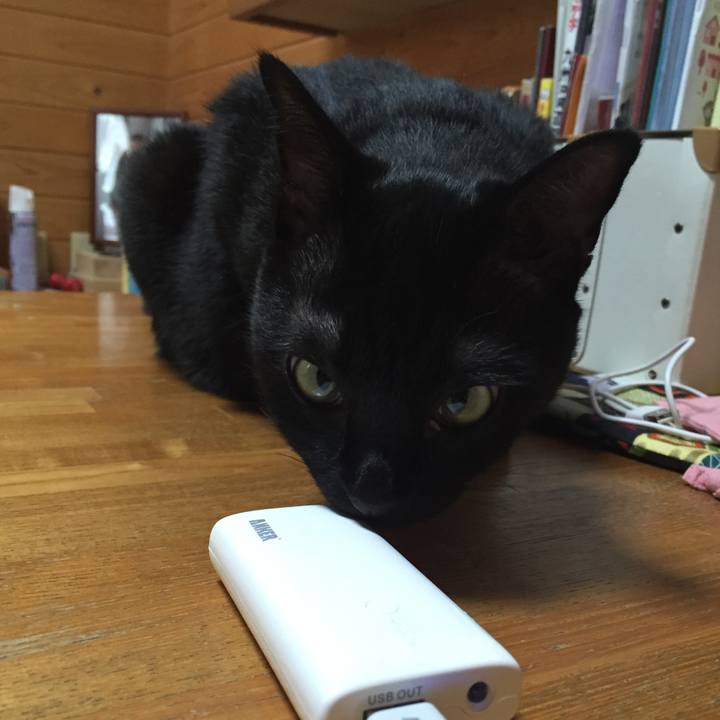 B1ac24af 1303 46f8 9ada d446e228a2fc