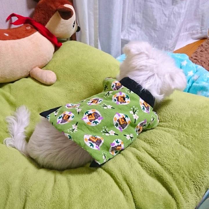 B1ac8e66 779a 486b 882c b20a95f09d99