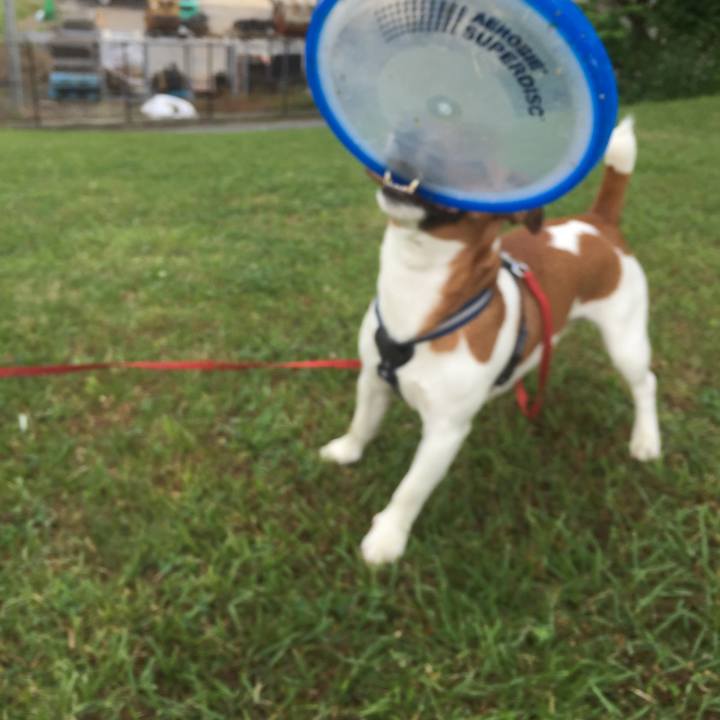 B1acabce 2012 4ae5 8730 29ca576525cd