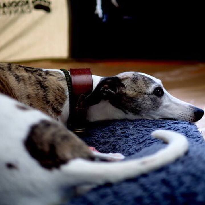 B1adc225 8d88 4f80 b181 6d7ca7b114e1