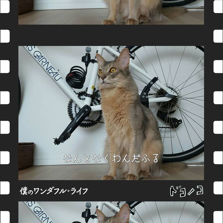 B1adfa12 1183 4700 841e 357ebcc40ea0