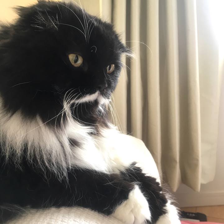 B1af6784 131c 4f4c 9636 4060eacb33fd