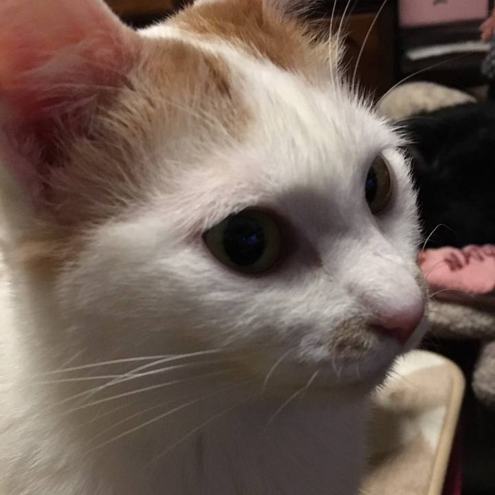 B1af6a9c fe4f 40f9 849b 6a1742f8b52f