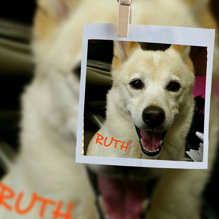 B1af90a0 8163 4255 b791 fc1976a9c62d