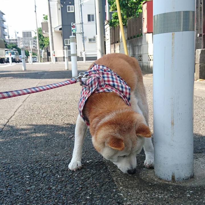 B1b0a5d4 72e8 4ad5 924e 100f973362a1