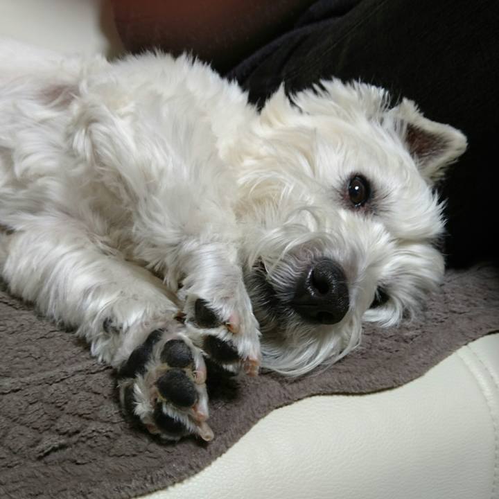 B1b12859 a386 4475 9d74 0cdffbf484a0