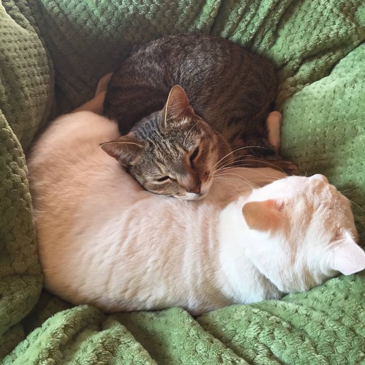 B1b1df0c a044 4ab0 a8ac 47f57b7da07f