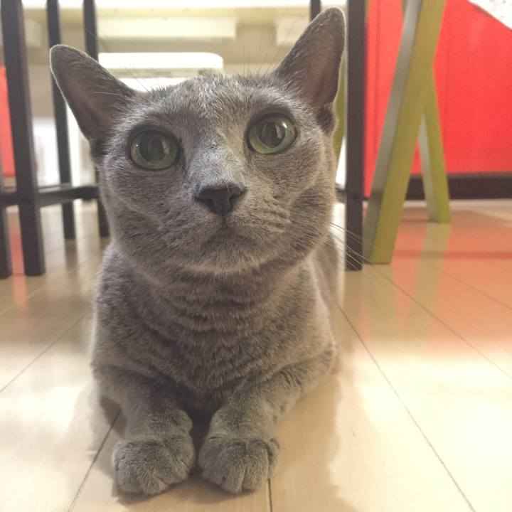 B1b2125e bbc9 4c7c b5c4 c068d73bec6e