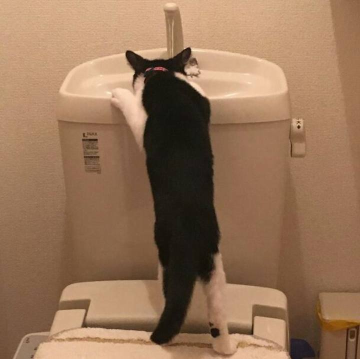 B1b23ae9 9af8 4585 84ff bae0910a6e76