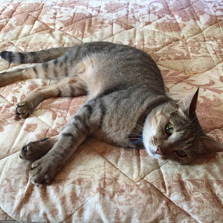 B1b26861 a194 4ffd b76f 1fa6ff9a8483