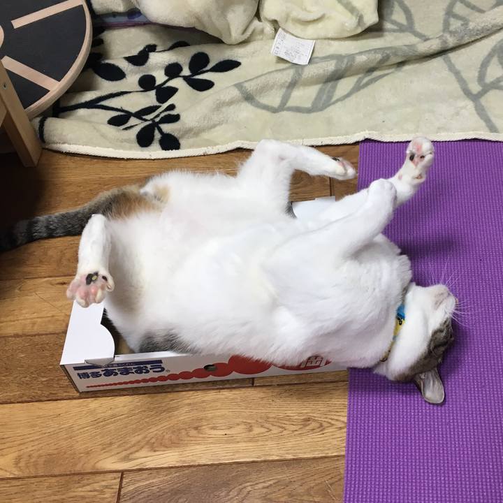 B1b2a6a3 ebee 4eef 8512 111a3126d7ed