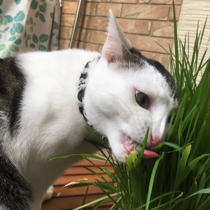 B1b31b7d 8d3c 4312 a9e2 de5c1706d04c