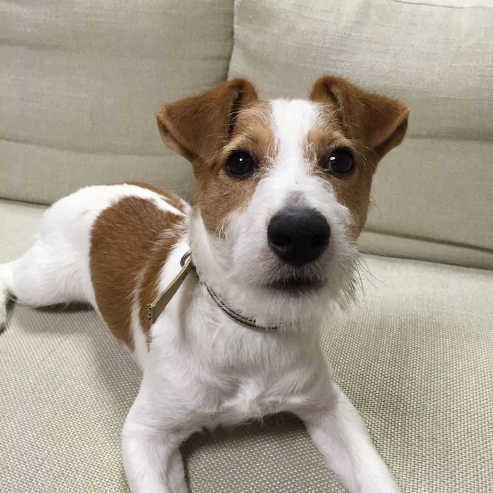 B1b32ed6 c377 433e a5eb e849bc2c9544