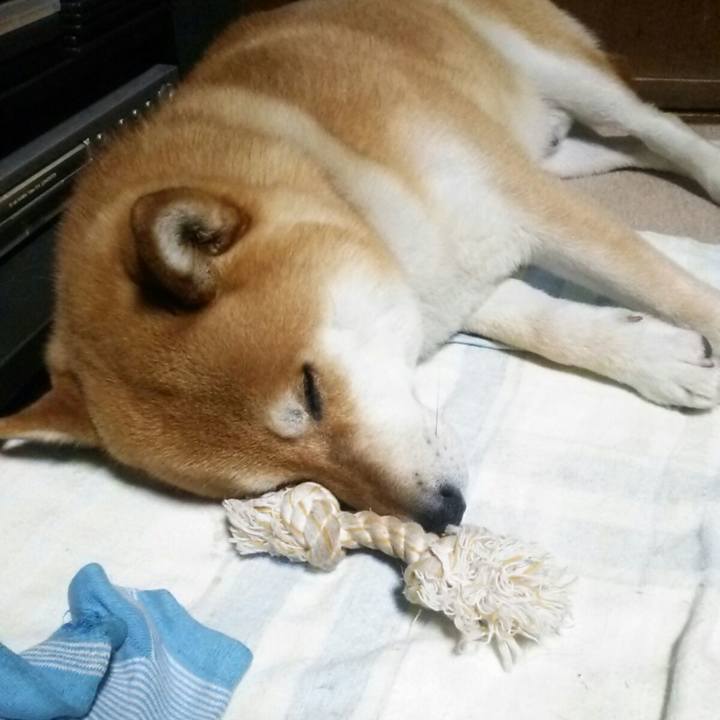 B1b33680 0859 4eb5 a49a 06c9ce6ac770